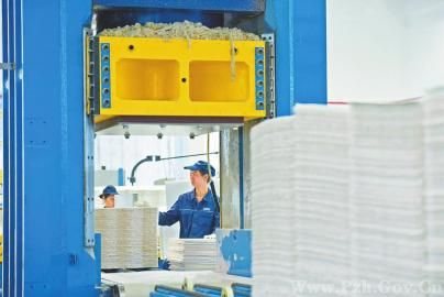 三問(wèn)深加工 如何擴(kuò)大竹產(chǎn)品版圖