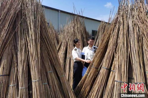 贛南竹制品俏銷(xiāo)海外 助力鄉(xiāng)村振興