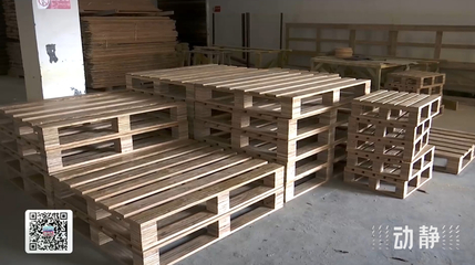 赤水竹業 以竹代塑，開拓綠色制造新賽道