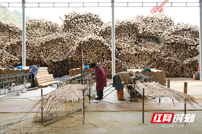 小竹子撬動大產業 竹制品加工的綠色經濟之路