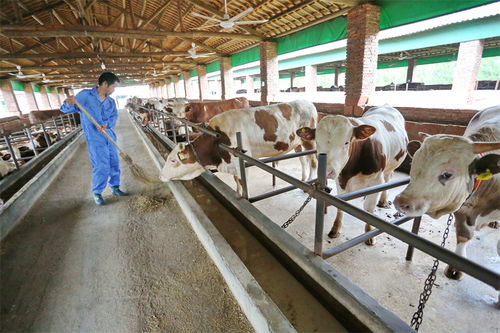 江西金溪 多產(chǎn)融合促發(fā)展，竹制品加工為鄉(xiāng)村振興注入新活力