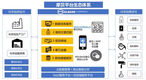 中國(guó)化工企業(yè)管理協(xié)會(huì)數(shù)字化專委會(huì)新春座談?wù)匍_(kāi)，摩貝斬獲多項(xiàng)授牌引領(lǐng)行業(yè)數(shù)字化升級(jí)